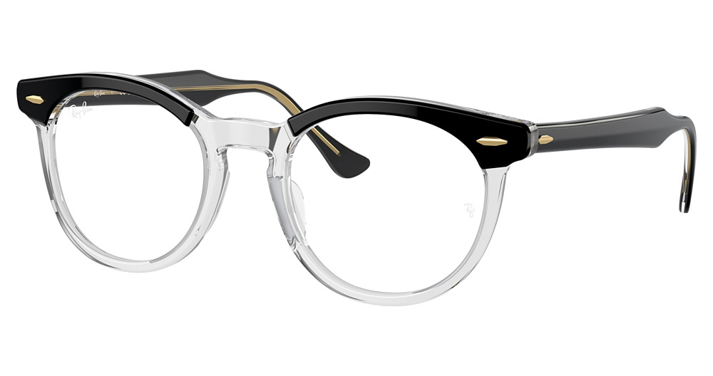 Ray-Ban RX5598 #N/D round eyeglasses in Black on Transparent