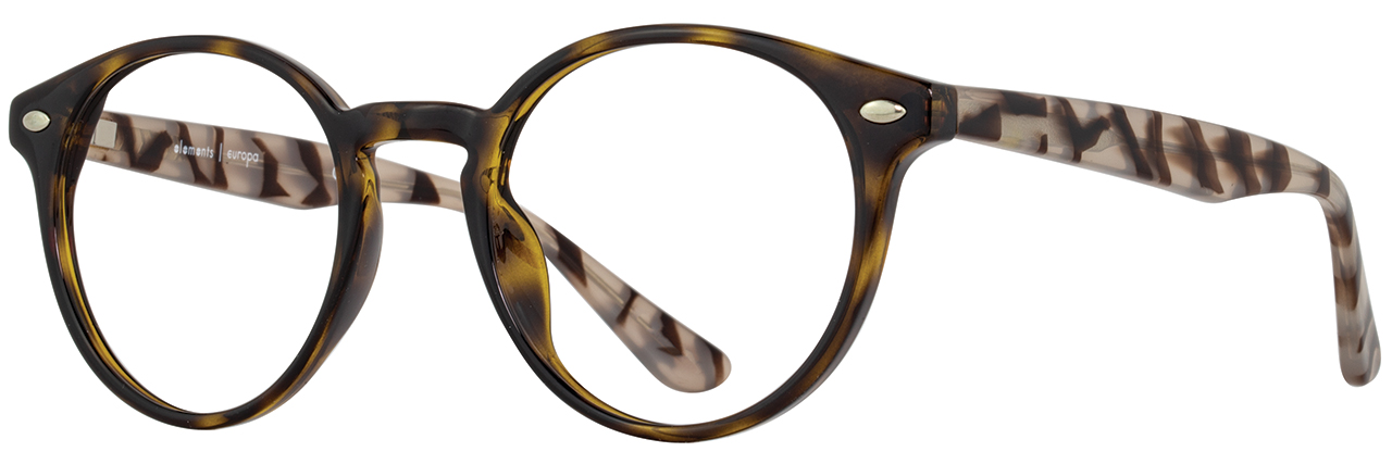Tortoise/Tokyo Tortoise