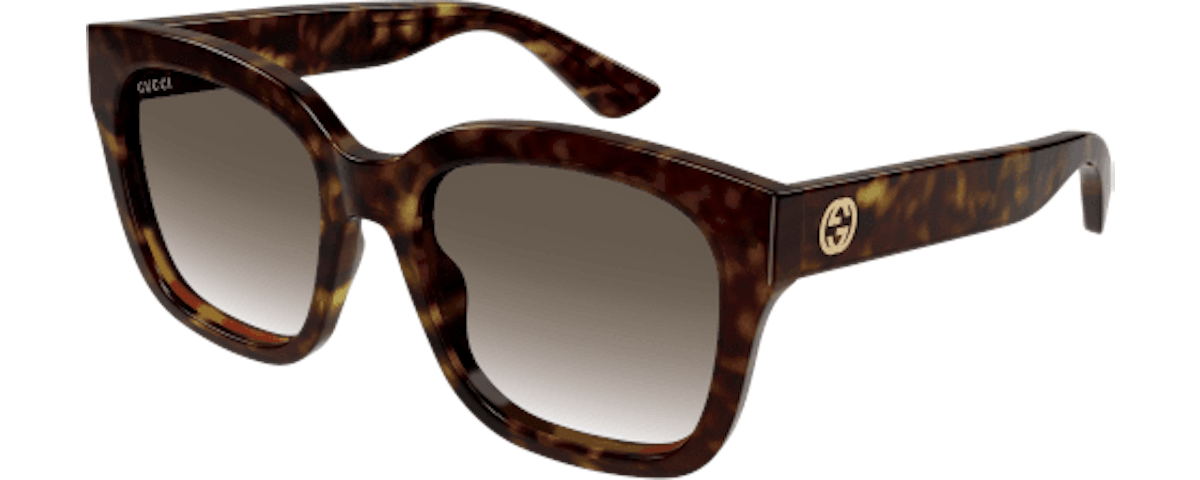 HAVANA / BROWN