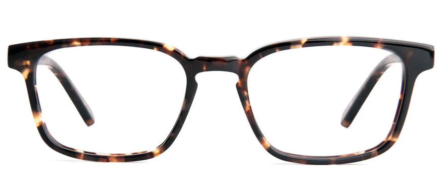 Dark Tortoise