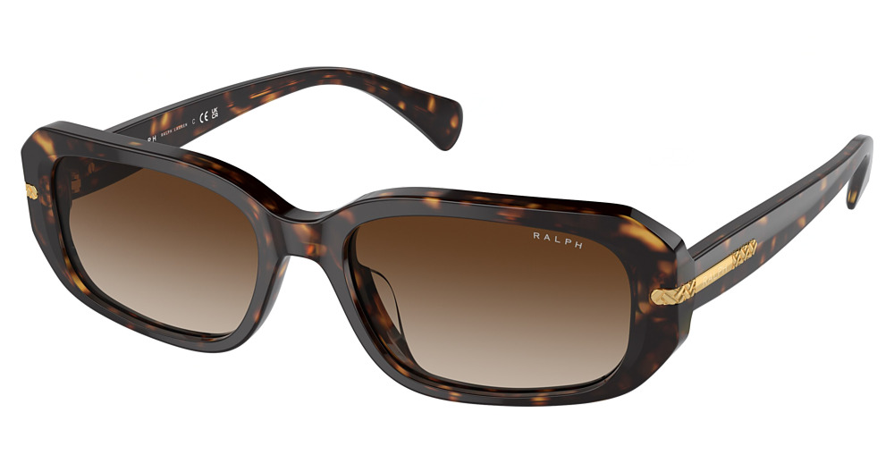 SHINY DARK HAVANA / GRADIENT BROWN