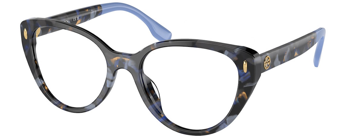 BLUE TORTOISE