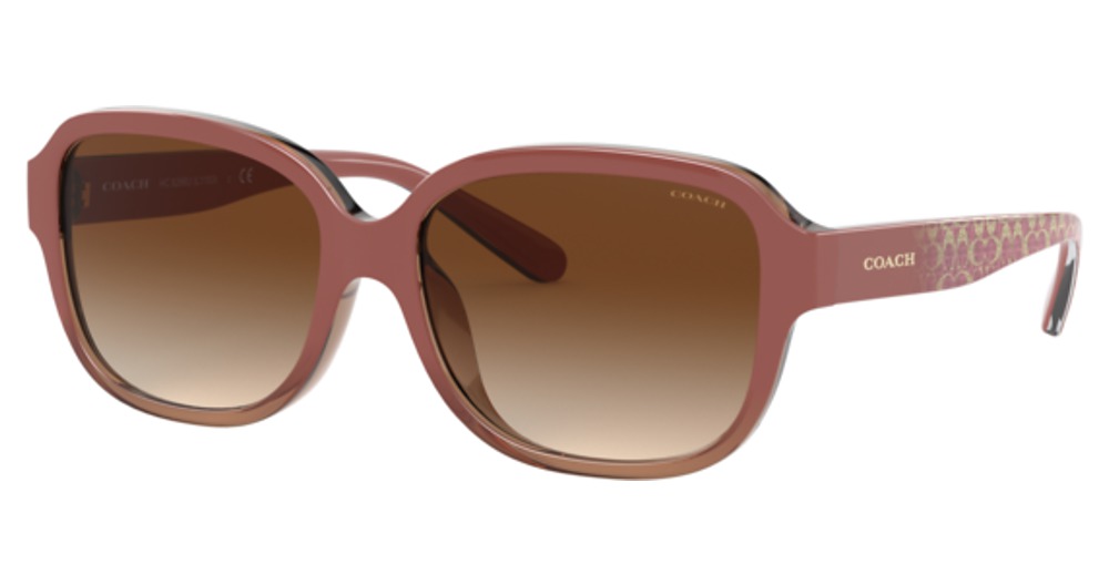TRANSPARENT BROWN / BROWN GRADIENT