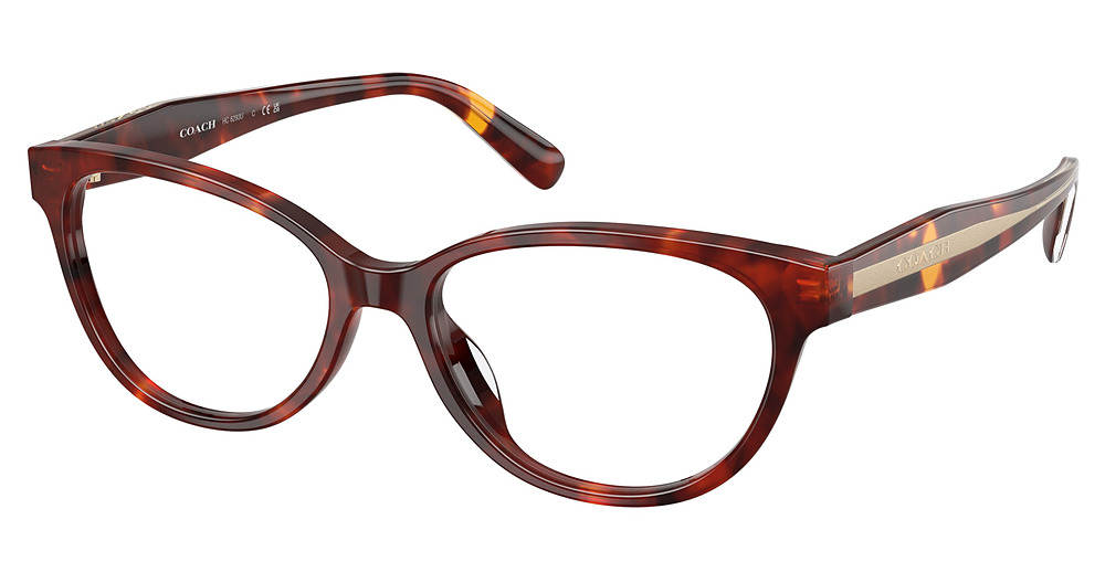 WALNUT TORTOISE