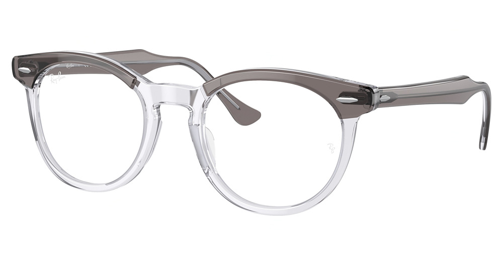 Ray-Ban RX5598 #N/D round eyeglasses in Grey on Transparent