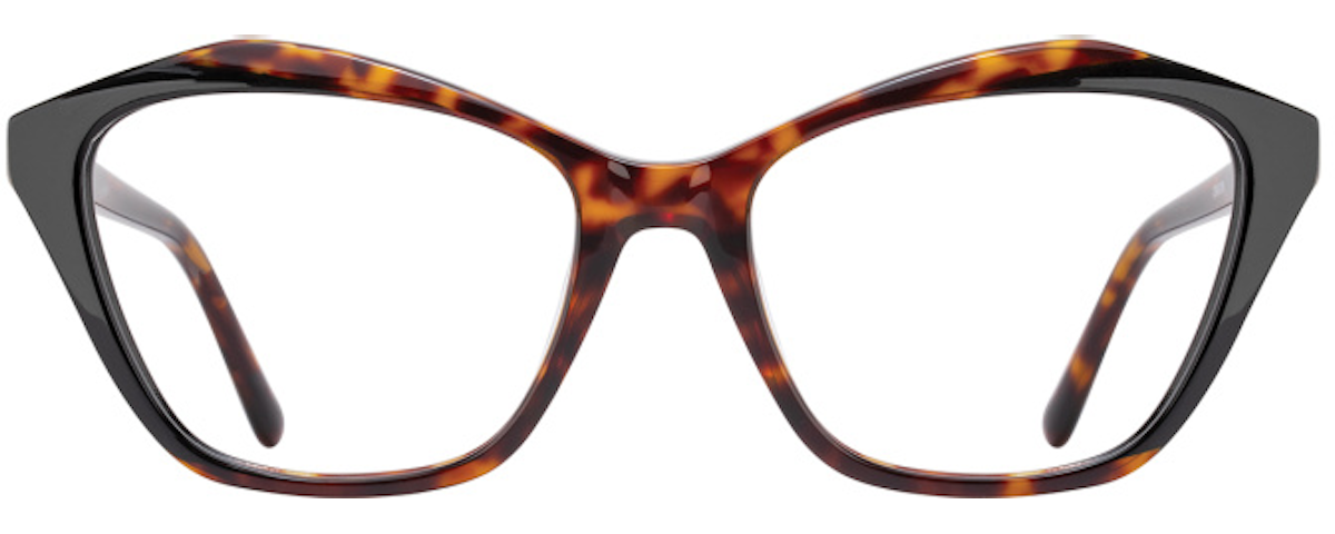 Tortoise / Black