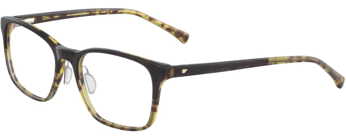 Tokyo Tortoise