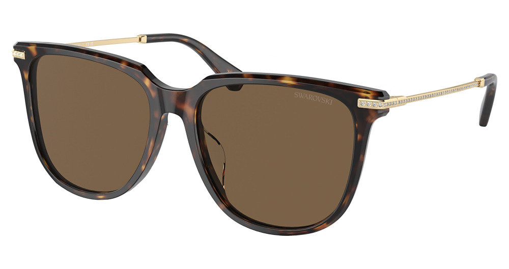 DARK HAVANA / BROWN