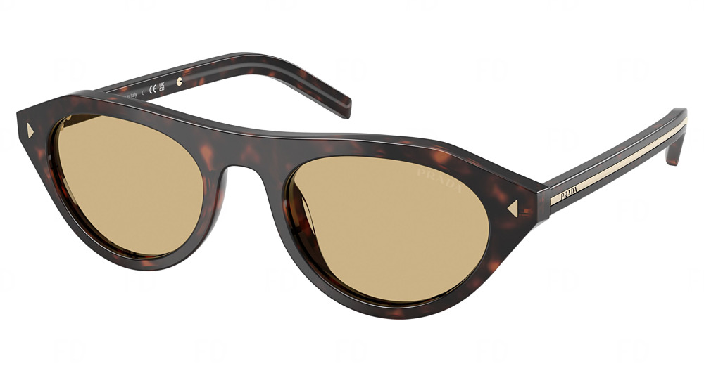 ROOT TORTOISE / LIGHT BROWN