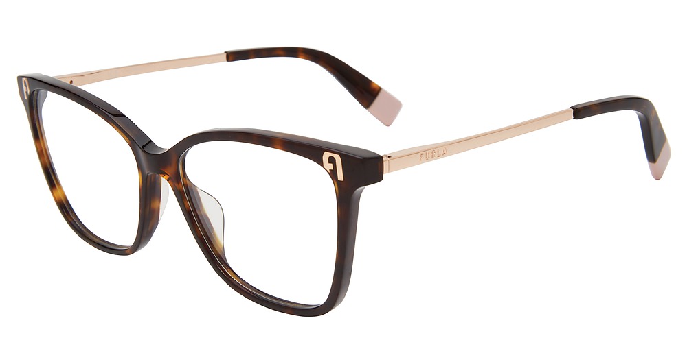 Tortoise 0722