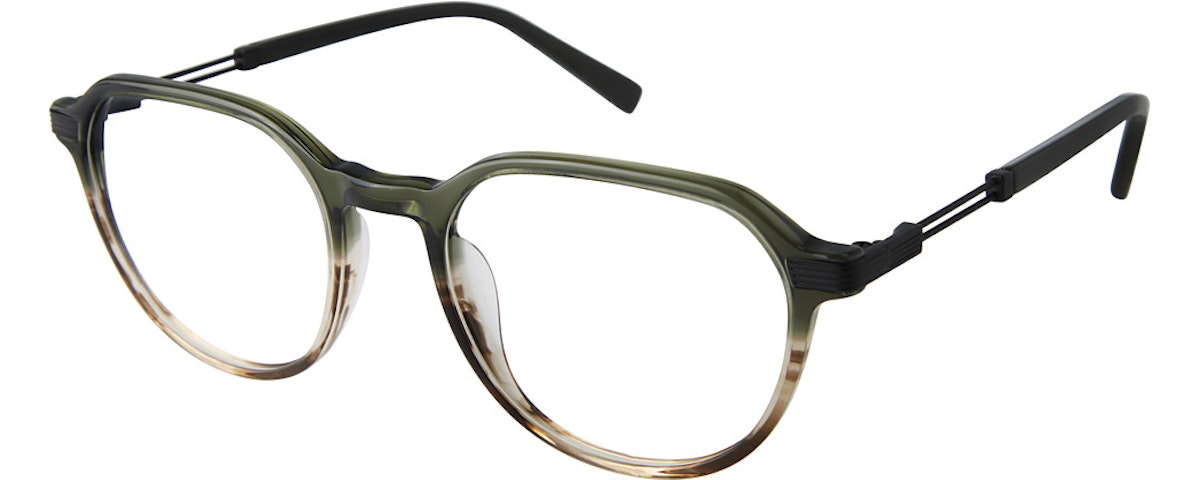 GREEN TORTOISE