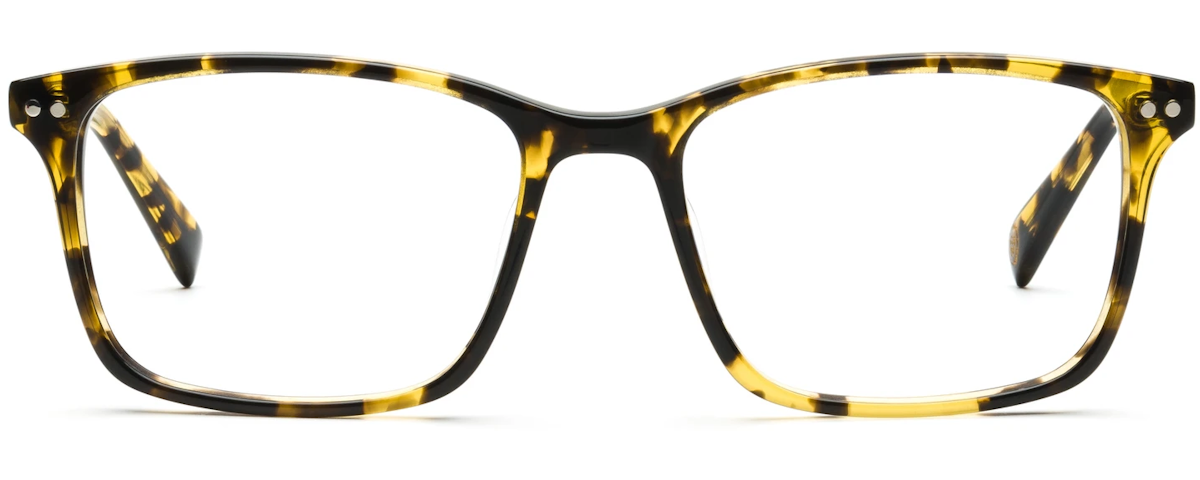Tokyo Tortoise