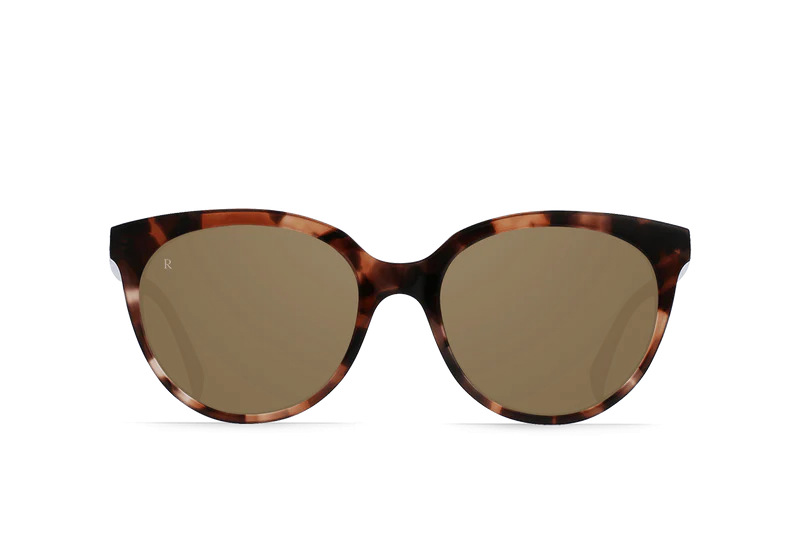 Almond Tortoise / Alpine Mirror