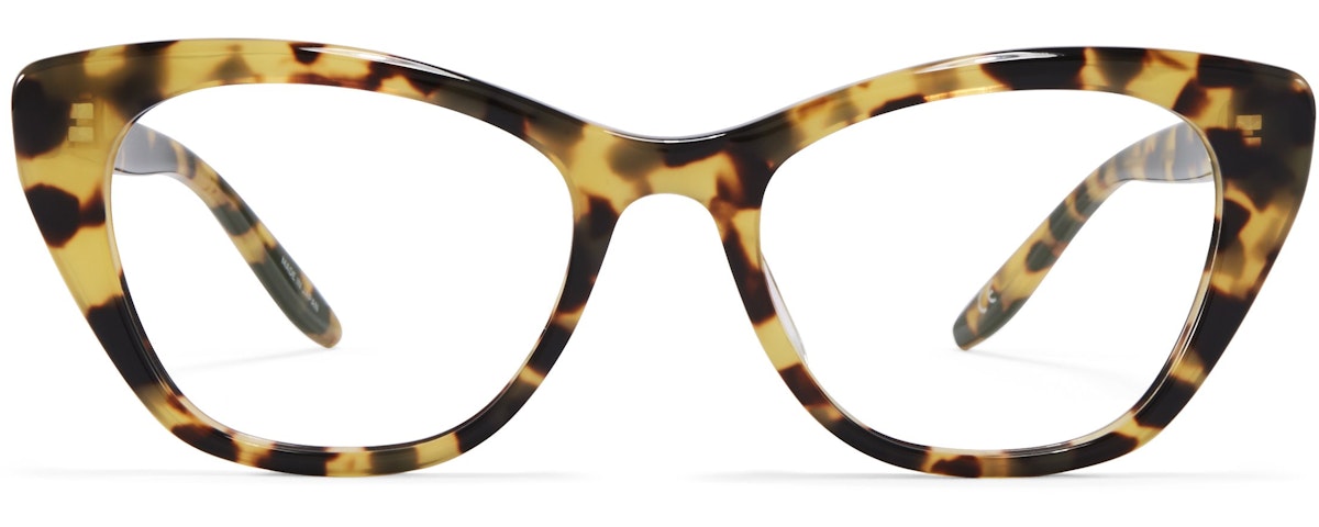Tokyo Tortoise