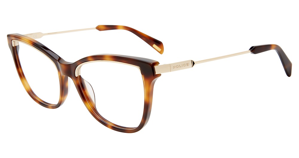 Brown Tortoise 9AJV