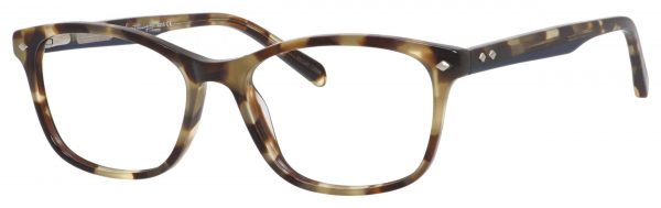 Olive Tortoise