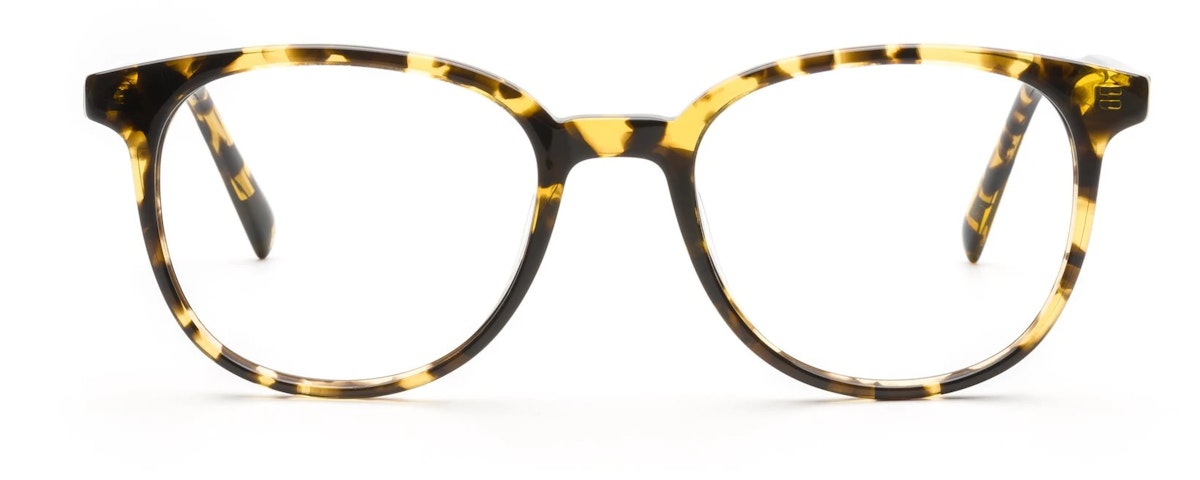 Tokyo Tortoise
