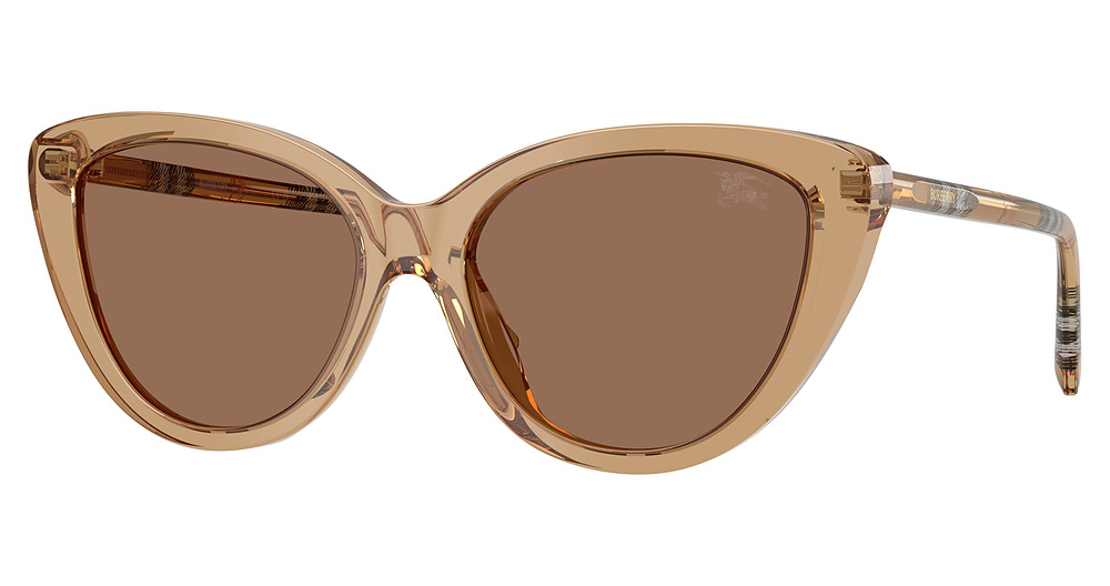 BEIGE / DARK BROWN