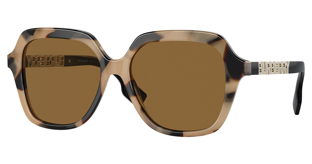 SPOTTED HORN / BRONZE