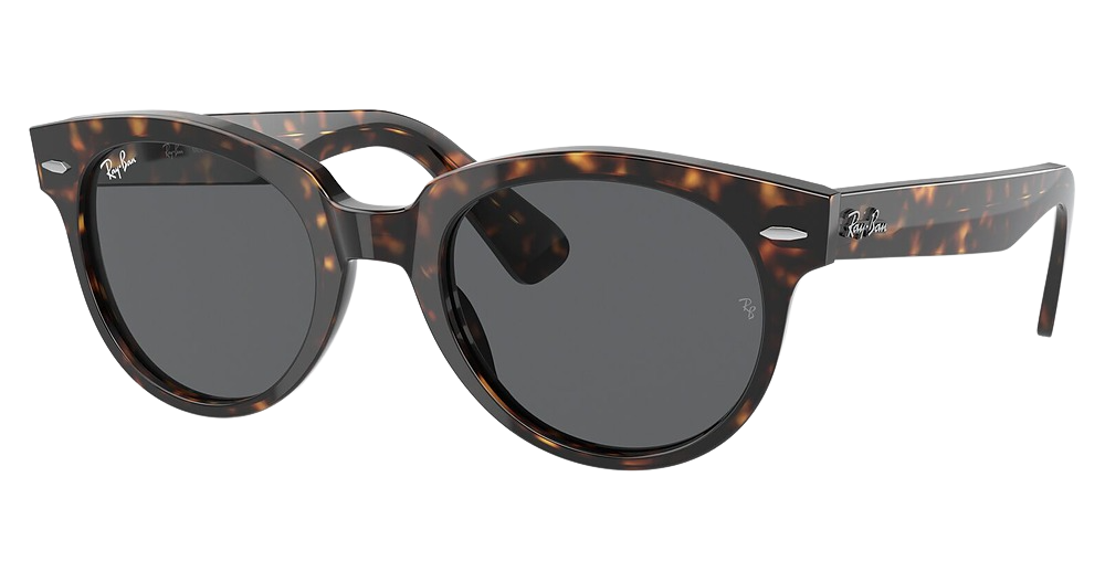 Ray-Ban RB2199F ORION round sunglasses in Tortoise/Dark Grey