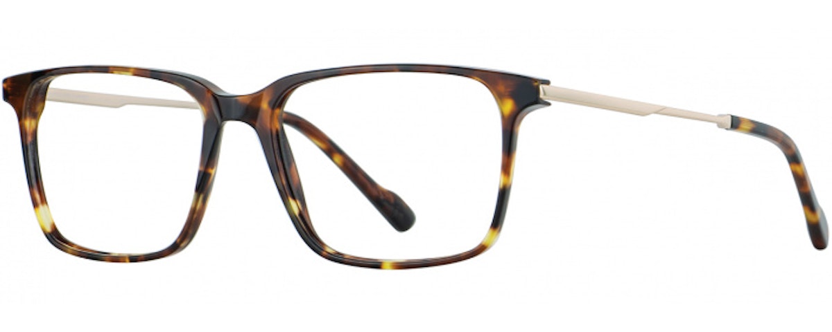 Tortoise/Gold