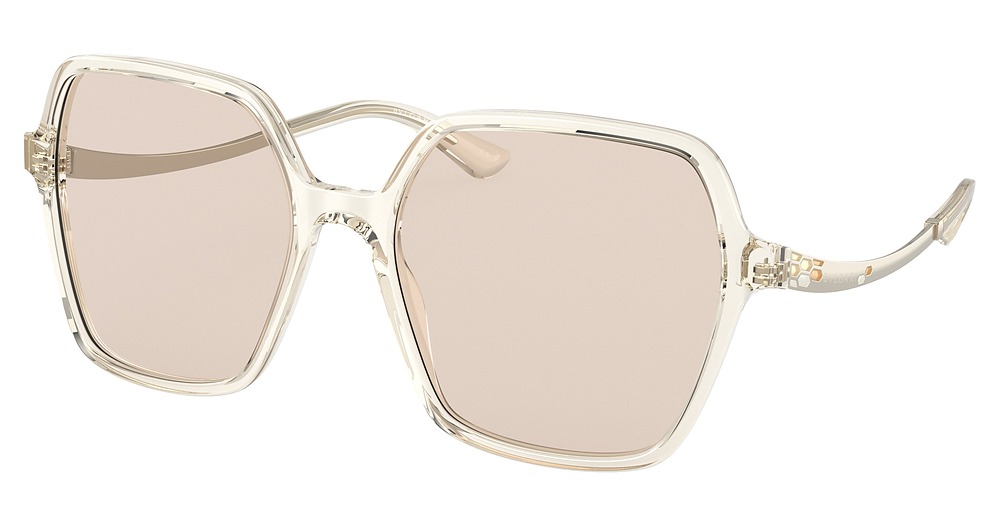 TRANSPARENT BUTTER / PHOTO BROWN TO DARK BROWN