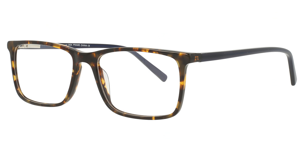 TORTOISE/BLUE