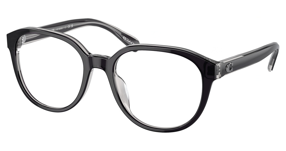 BLACK / TRANSPARENT GREY
