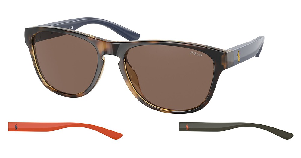 SHINY HAVANA / BROWN
