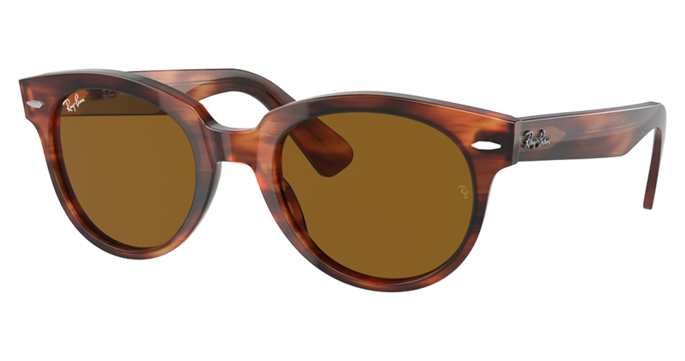 Ray-Ban RB2199 ORION round sunglasses in Striped Havana/Brown