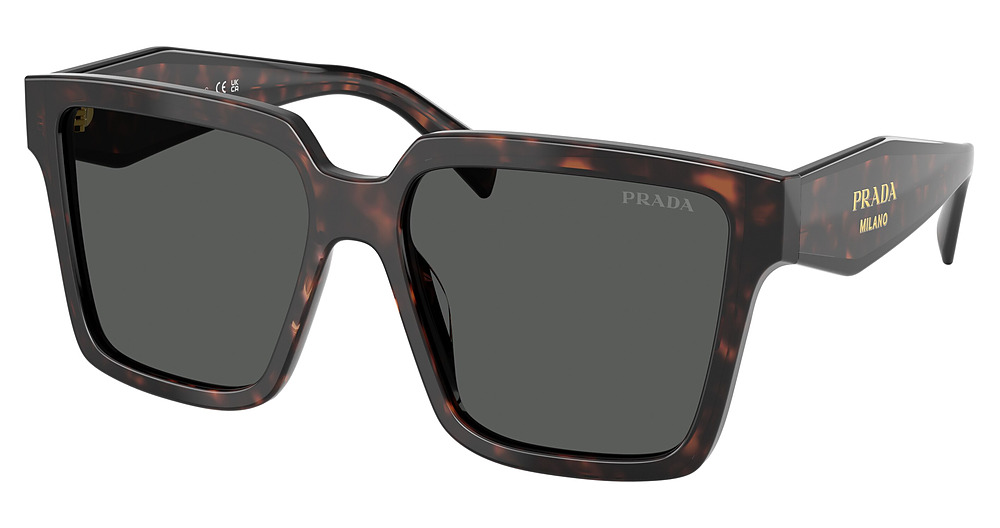 ROOT TORTOISE / DARK GREY