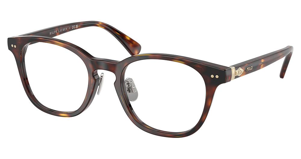 SHINY BROWN TORTOISE