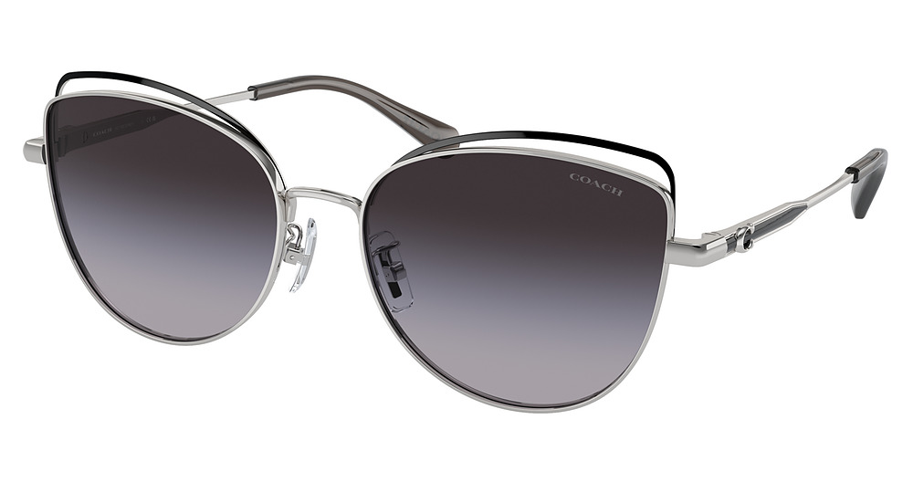 SHINY SILVER / BLACK / GREY GRADIENT