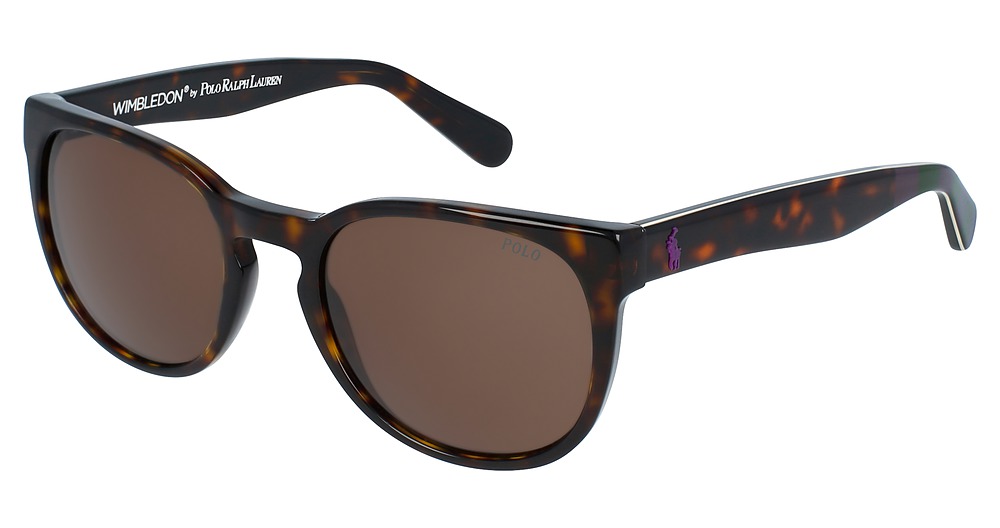 SHINY DARK HAVANA / DARK BROWN