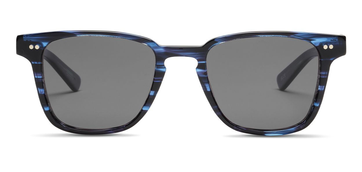 Blue Tortoise