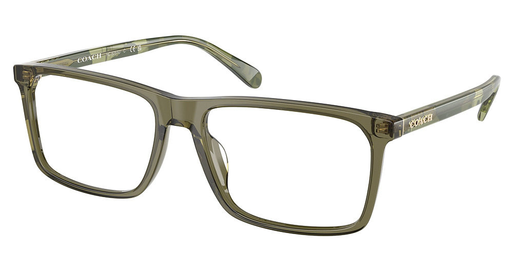 TRANSPARENT OLIVE