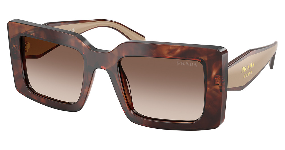 CARAMEL TORTOISE / BROWN GRADIENT