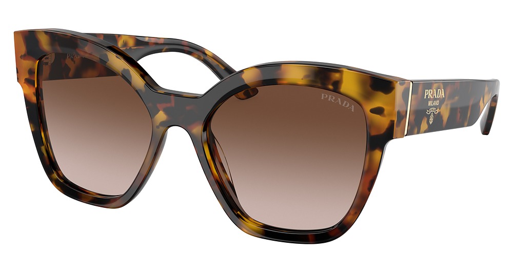 HONEY TORTOISE / BROWN GRADIENT