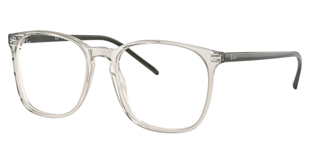 Ray-Ban RX5387F round eyeglasses in Transparent Beige