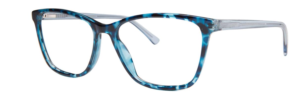 Blue Tortoise