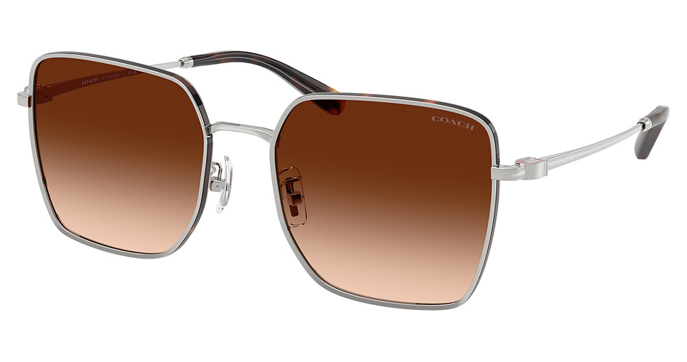 SHINY SILVER / DARK TORT / BROWN GRADIENT