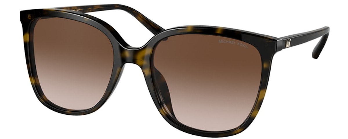 DARK TORTOISE / BROWN GRADIENT