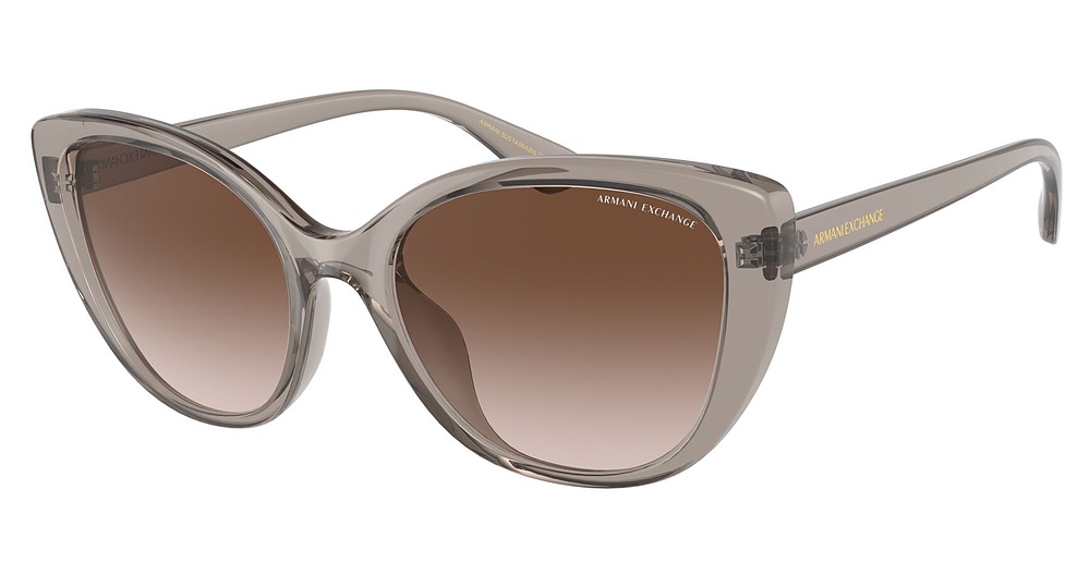TRANSPARENT TUNDRA / GRADIENT BROWN