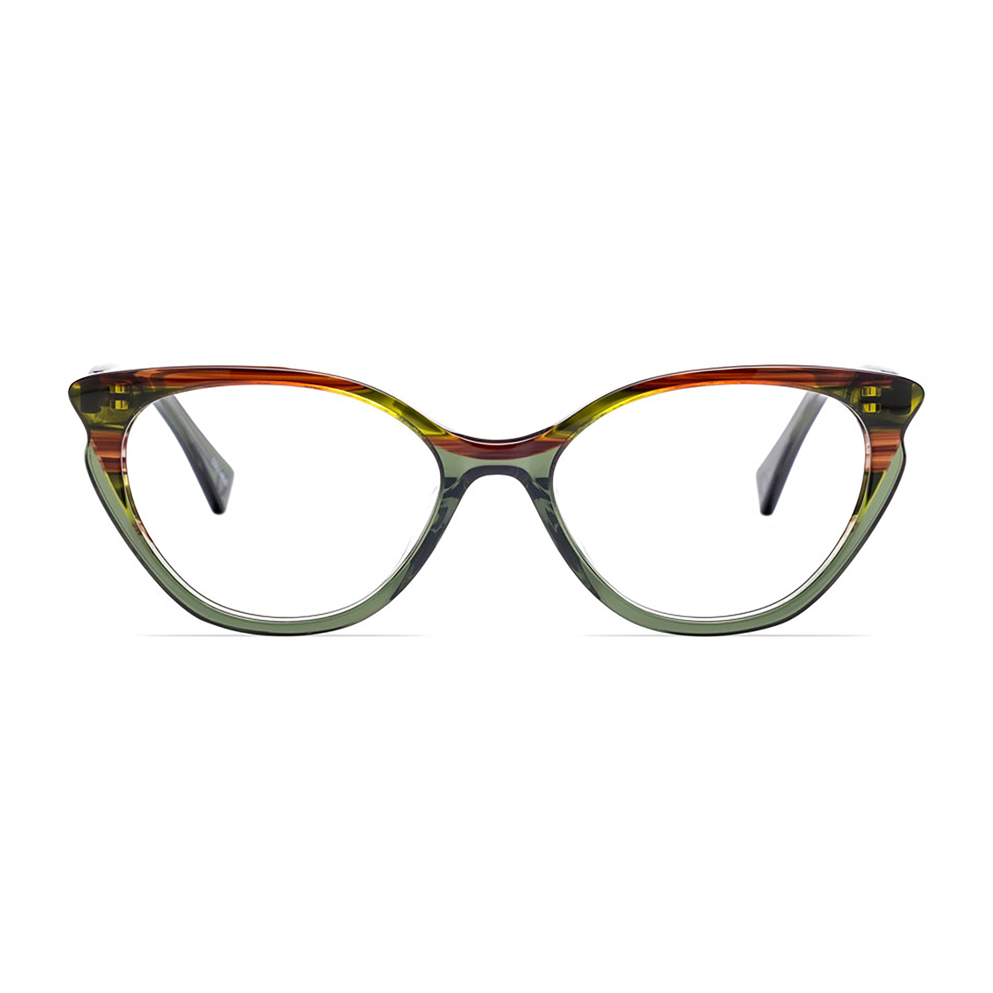 Olive Tortoise over Green