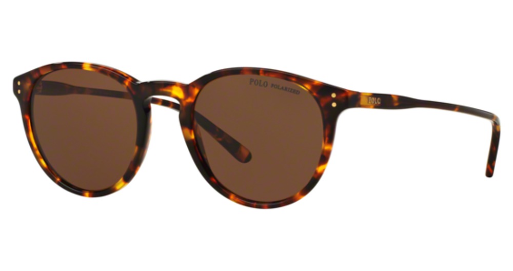 SHINY ANTIQUE HAVANA / POLAR BROWN