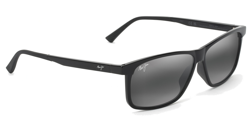 Shiny Black / Neutral Grey
