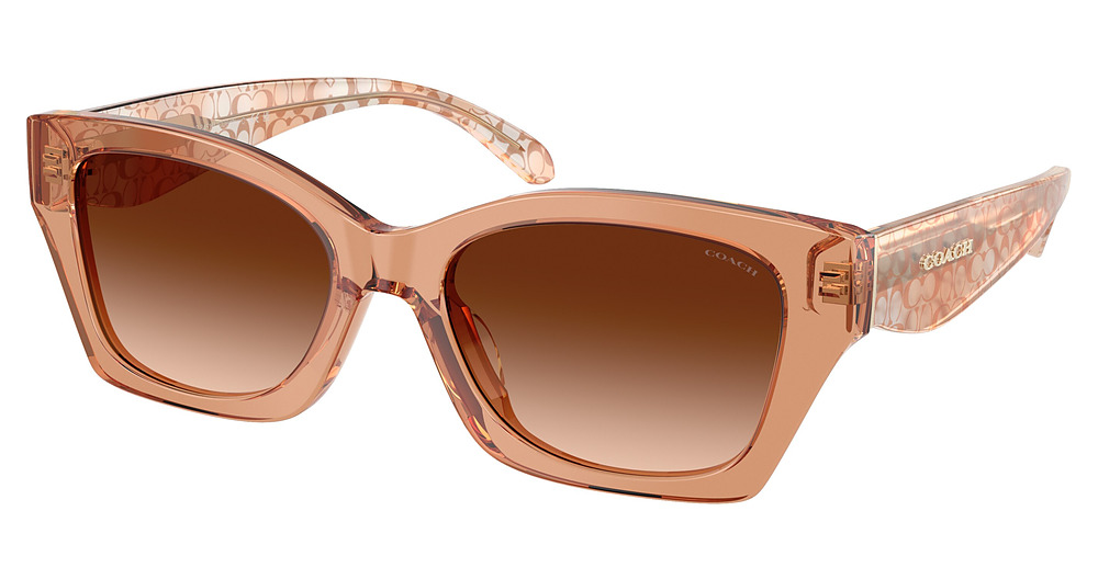 TRANSPARENT BROWN / BROWN GRADIENT