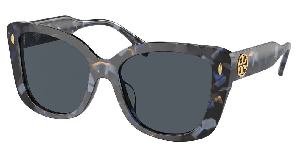 BLUE TORTOISE / DARK GREY