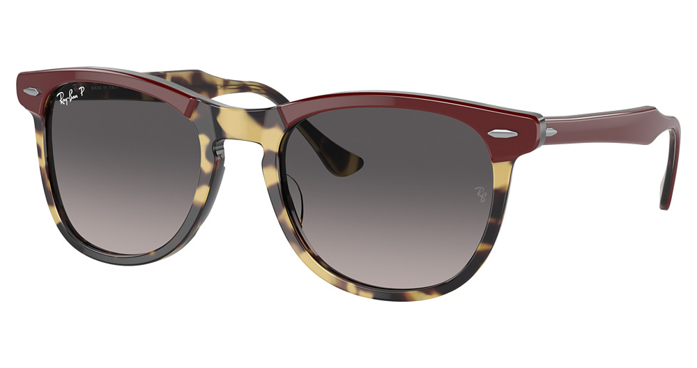 Ray-Ban RB2398 #N/D round sunglasses in Bordeaux on Yellow Havan