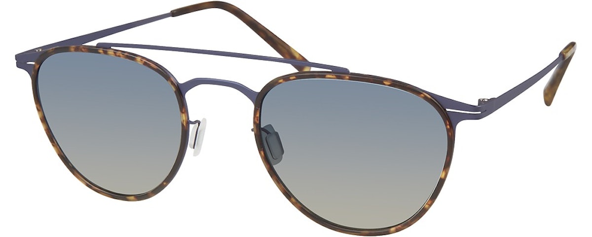 Tortoise / Blue Gradient